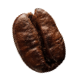 demo-attachment-38-coffee-beans-P4MXYZD5